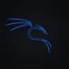 dgsfuria4