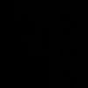 dyl55055