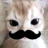lizzzz05_p