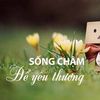 Sống Chậm Lại