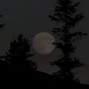 Chill Vibes