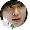 lumin8300