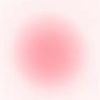 _pinktulips4