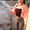 @cô út nhà họ phạm 95