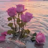 ruu_ty123