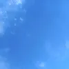 aleks.buzi