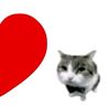 mr.meow7447