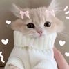 gxxy_faii