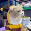 Cat's House