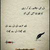 jutt302860