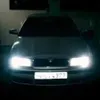sebi_s_1