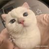 thiri_015