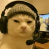 jinwou76
