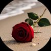 user8183163191105