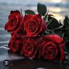 dua.fatima1060