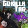 gorliavr1