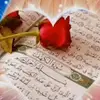 user6681794870350
