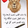 user3018302919061