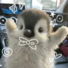 itsme_nixie5