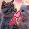 alman.daqi