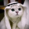 _dwladd96_