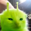 orangg.baruuuu