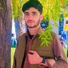 ameer19537
