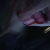 x0915617
