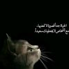 user4447615876912