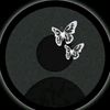 shifaul77