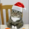 adi_93835