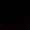 julian212014119300