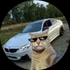 sibidinvh_10