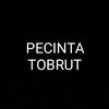 qijang.codot