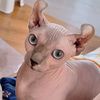 muriko.kitty