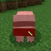 brookhaven.tiktok.com
