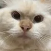 ______rawr10___