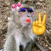 zazzzb3