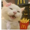 fresh_dump