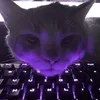 xdfiden