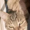 htrujskmr3