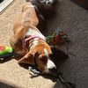 rubygirl02