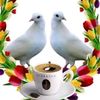 seidebrahim853
