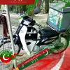 nawab.sher11
