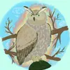featheryowlmary