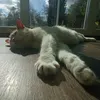 mashuko_lalala