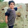 @Shabaz Ansari