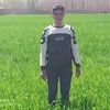 seyed.ali.hossein33