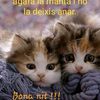 user43870861484072