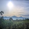 petani.muda4303